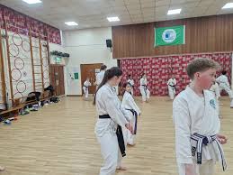 Image result for Henley Shotokan Karate Club