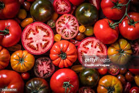 Image result for Tomate