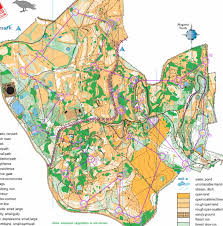 Image result for Walton Chasers Orienteering Club