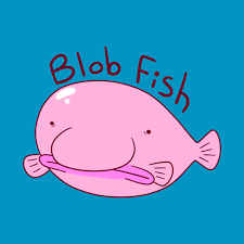 Image result for blobfish