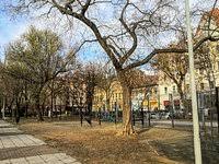 Image result for klauzál tér budapest