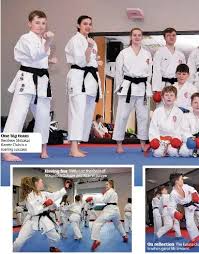 Image result for Shitokai Karate Club