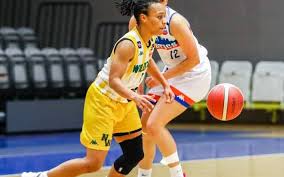 Image result for Nottingham Wildcats