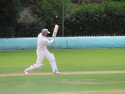 Image result for Vale Cricket Club