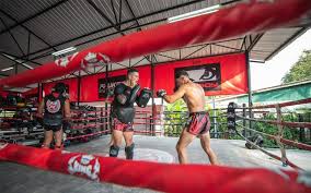 Image result for Muay Thai Clubs