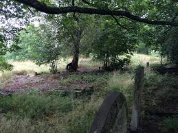 Image result for Garndiffaith