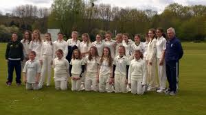 Image result for Brislington Cricket Club