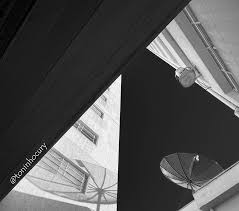 Resultado de imagem para imagem aniversario de sao jose do rio preto 2011