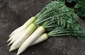 Image result for 公害SEARCH