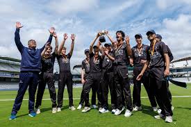 Image result for Winford Cricket Club