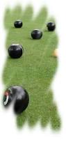 Image result for Shephalbury Bowls Club