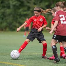 Image result for Westfields Football Club Ltd