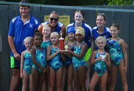 Image result for Downham & District Swimming Club