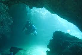 Image result for Great Western Divers