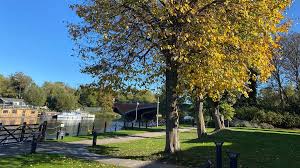 Image result for Runnymede Ramblers