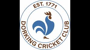 Image result for Old Dorkinian Cricket Club