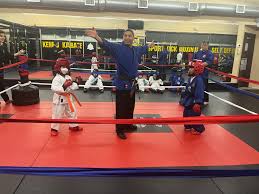 Image result for Surrey Ju - Jitsu Kick Boxing Club