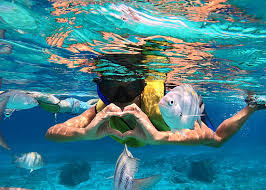 Image result for Kingston & Elmbridge Junior Snorkelling Club