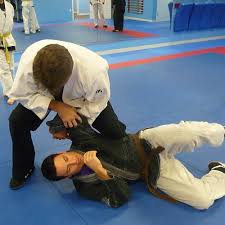 Image result for Goshin Ryu Atemi JuJitsu