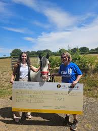 Image result for Bookham Riding Club