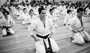 Image result for Kyokushin Karate