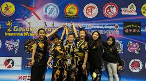 Image result for Dragon Wushu Club