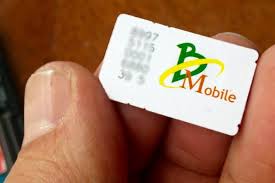 Image result for b-mobile sim