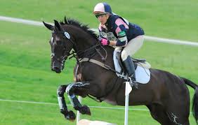 Image result for Dalton (Yorkshire) Badminton Club