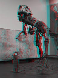 Image result for anaglyphen