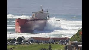 Image result for Pasha bulker