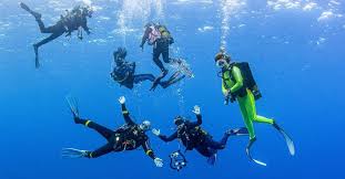 Image result for Blue Water Diving