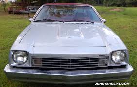 Image result for Silver Blue 1975 Chevrolet