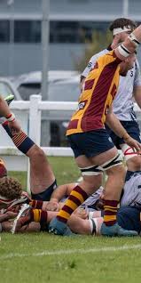 Image result for Southend Rugby Football Club Ltd