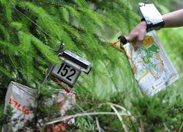 Image result for Dartford Orienteers (DFOK)