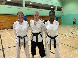 Image result for Soncho Karate Club