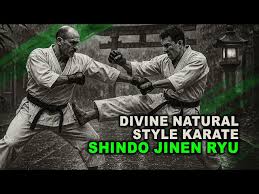 Image result for Ji Shin Do Karate
