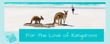 Image result for Reading Kangaroos