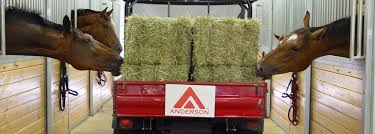 Resultado de imagen para sliced horse