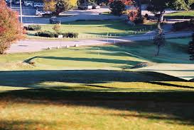 Image result for The Combe Martin Institute Club