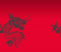 Image result for leicester dragons