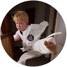 Image result for Redhill Karate Association