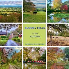 Image result for Wonersh Stoolball Club