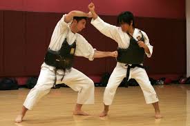 Image result for Harrow Shorinji Kempo