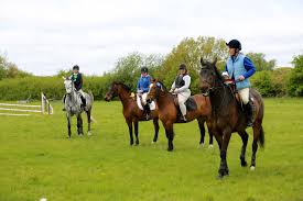 Image result for Bookham Riding Club