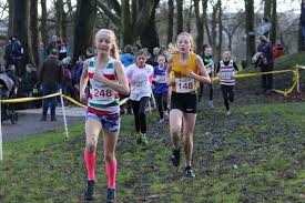 Image result for Holmfirth Harriers Ac