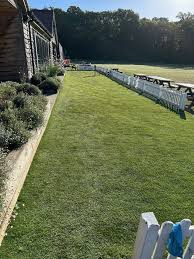 Image result for Shottermill Cricket Club