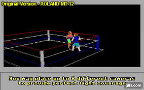 Image result for 4D Sports Boxing