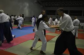 Image result for Moslin & Dewandre Aiki Dojo
