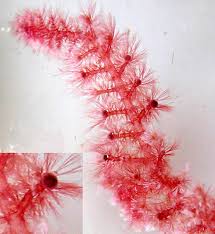 Attēlu rezultāti vaicājumam “Retinia resinella exuvia”