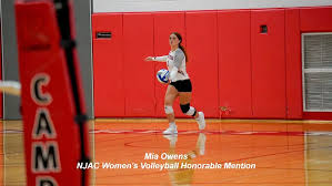 Image result for Reading Aces Volleyball Club